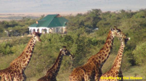 Гостиница Narasha Homestay - Maasai Mara  Talek